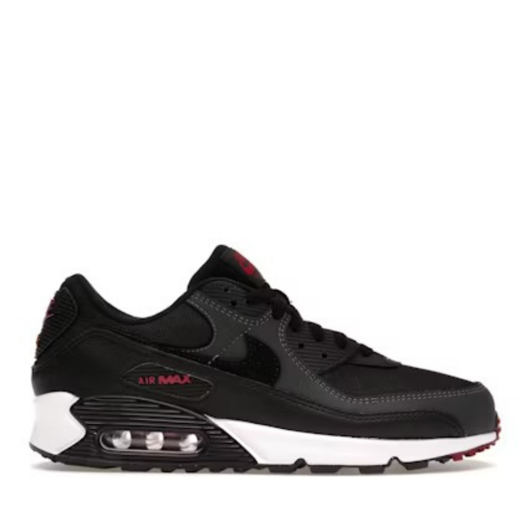 AirMax 90 Antracita