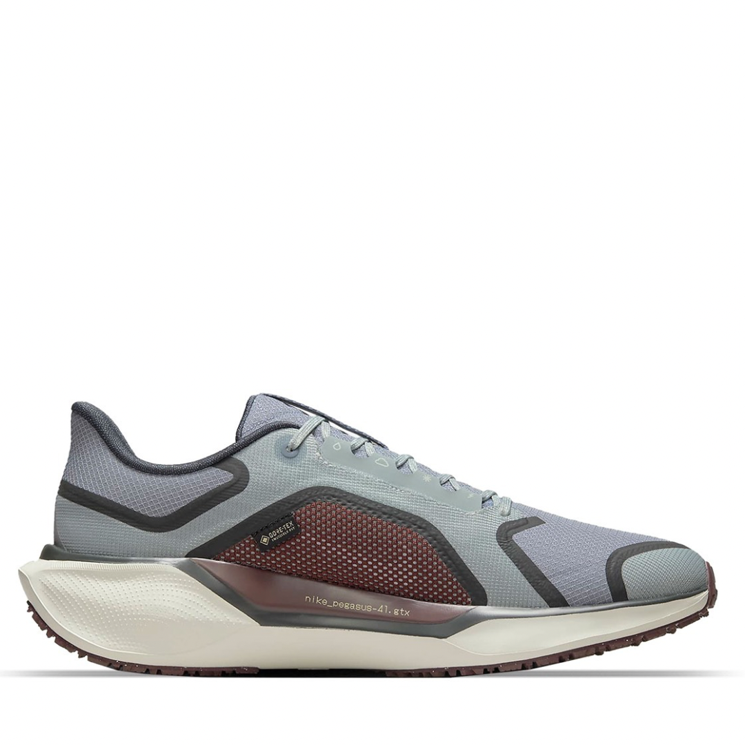 AirMax Pegasus GTX Grey