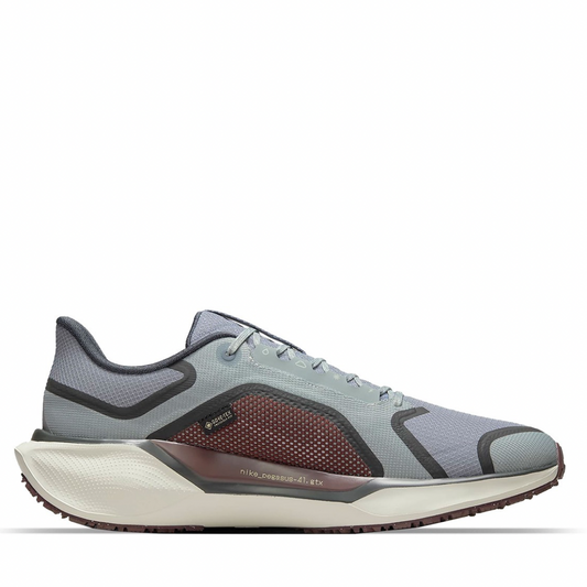 AirMax Pegasus GTX Grey