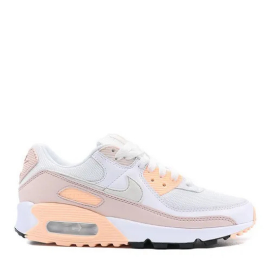 AirMax 90 Nature