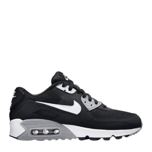 AirMax 90 LTR