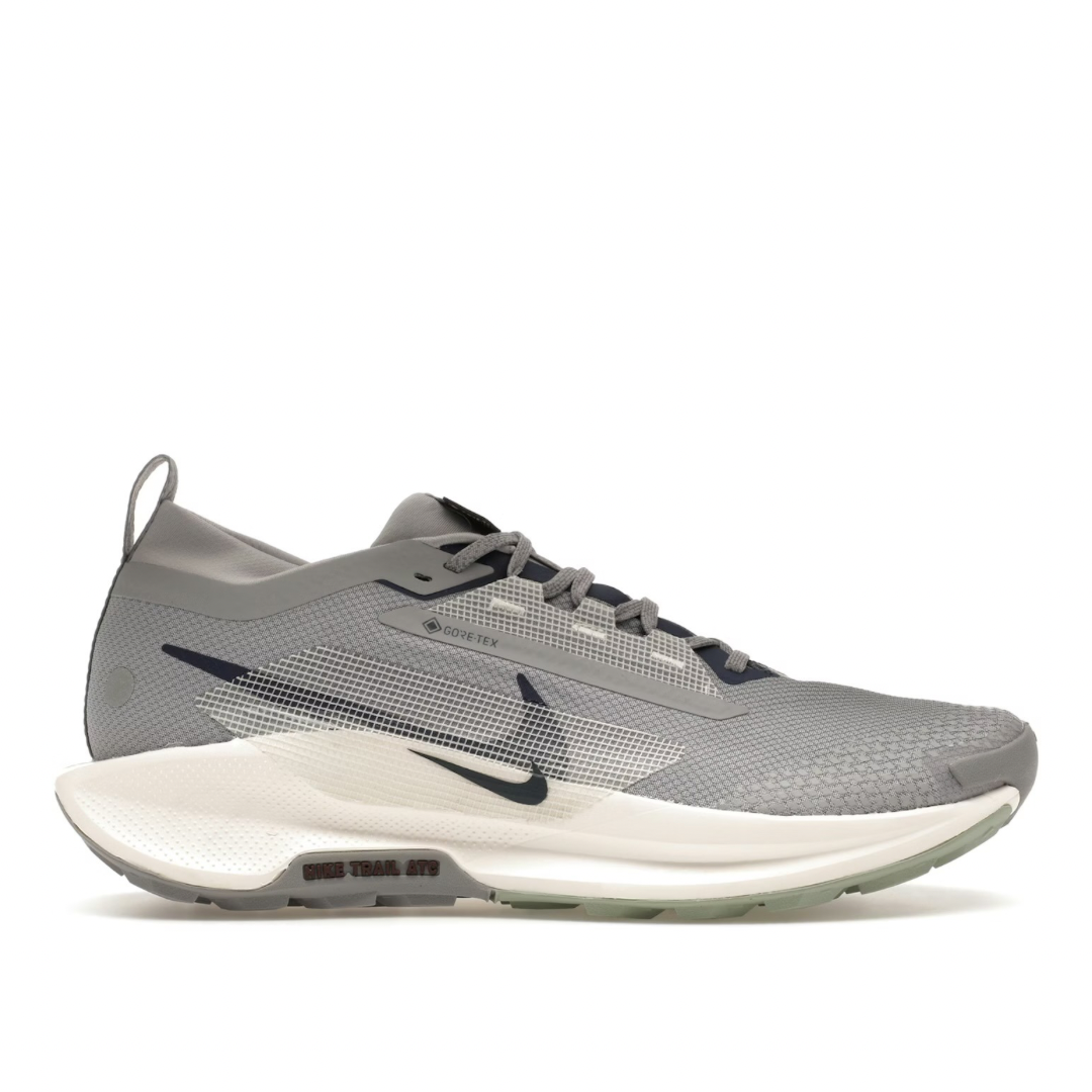 AirMax Pegasus Trail 5 Grey