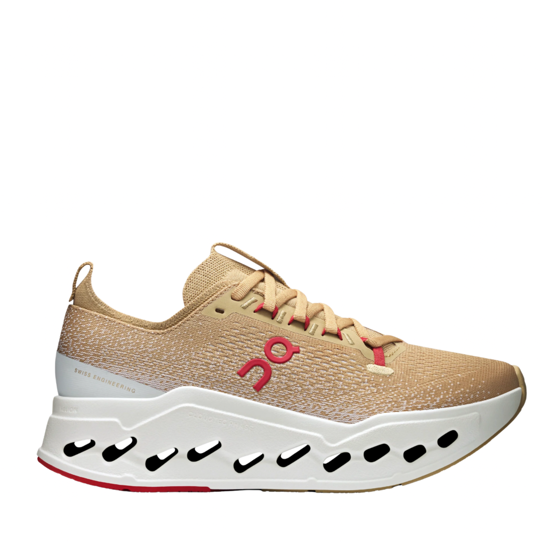 OnCloud Surfer Max Year