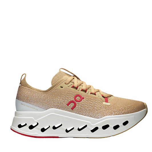 OnCloud Surfer Max Year