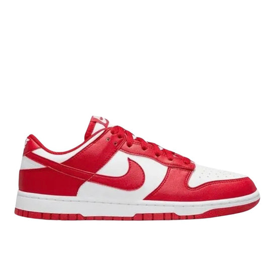 Nike dunk low next nature