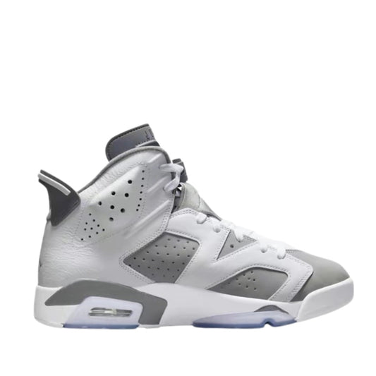 Air Jordan 6 Cool Grey